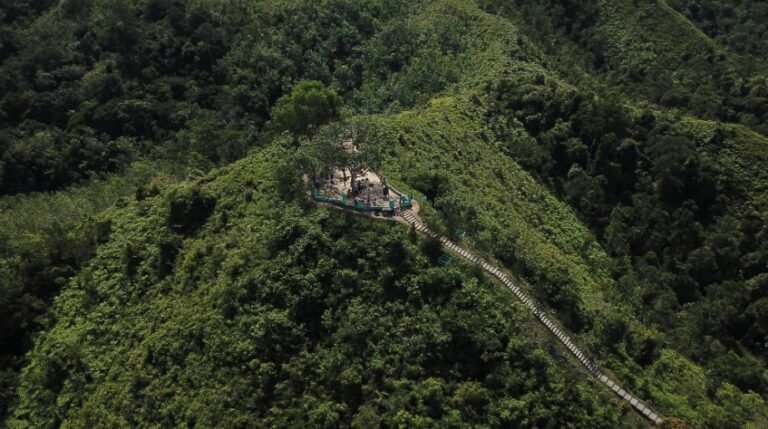 dji 0041 smfvsl 768x429