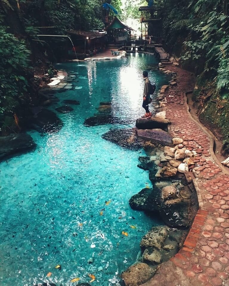 50096357111 9b820515f9 o 768x960