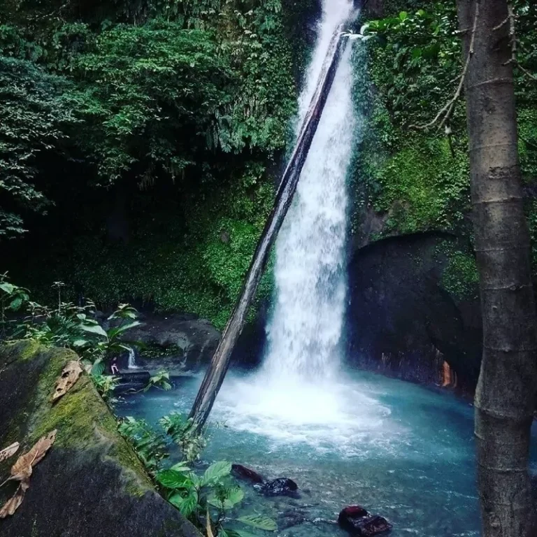 Air Terjun Tongkat 768x768