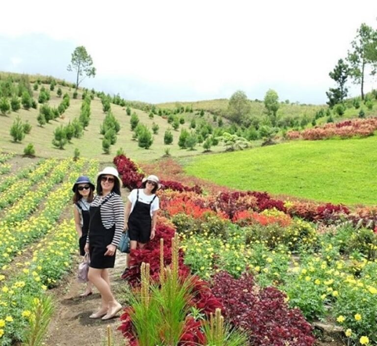 harga penginapan di sapo juma 768x705