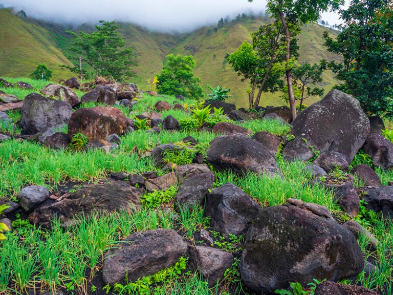 Geosite Silalahi – Sabungan - ONE TOBA