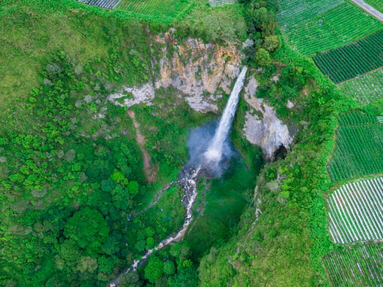 1 TONGGING 6 1 768x576