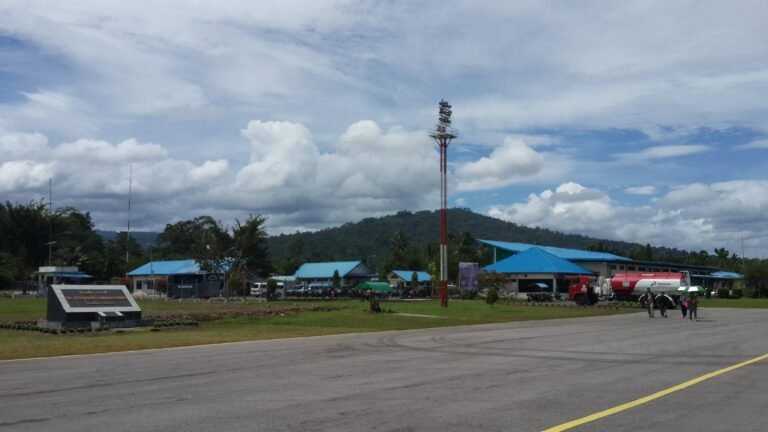 Bandar Udara Dr. Ferdinand Lumbantobing Pinangsori5 768x432