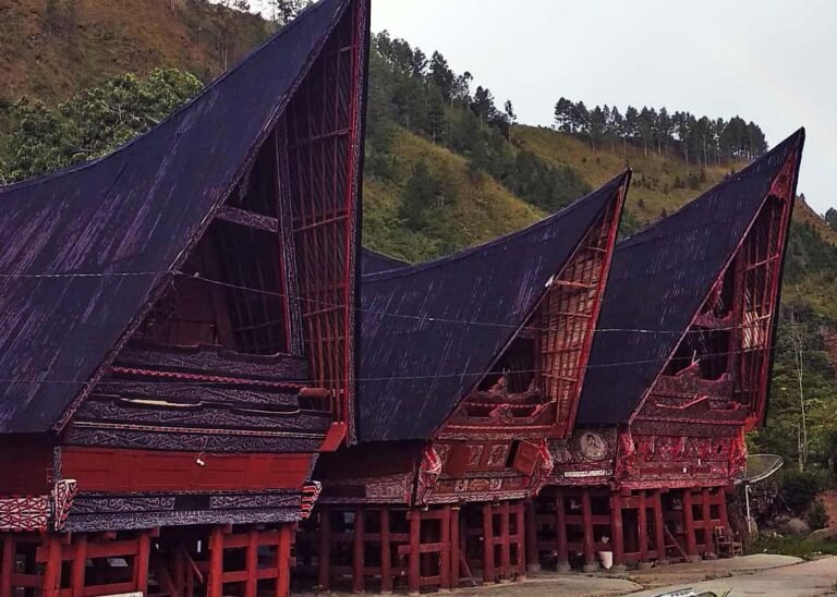 Desa Adat Ragi Hotang Meat3 768x548