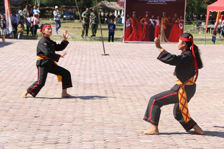 Festival Pesona Aek Hula8 768x512