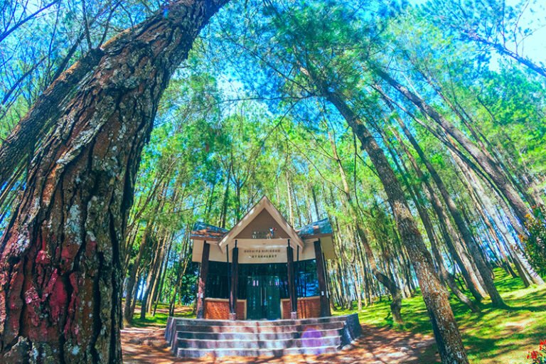 Geosite Sipinsur6 768x512