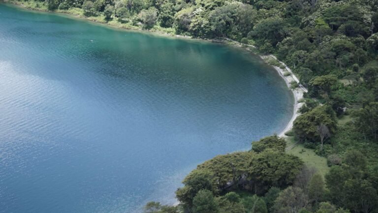 Danau Toba Lintong Nihuta Kec. Tampahan Toba Sumatera Utara 2231233 768x432