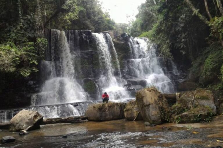 Pola Tebu Kuta Buluh5 768x512