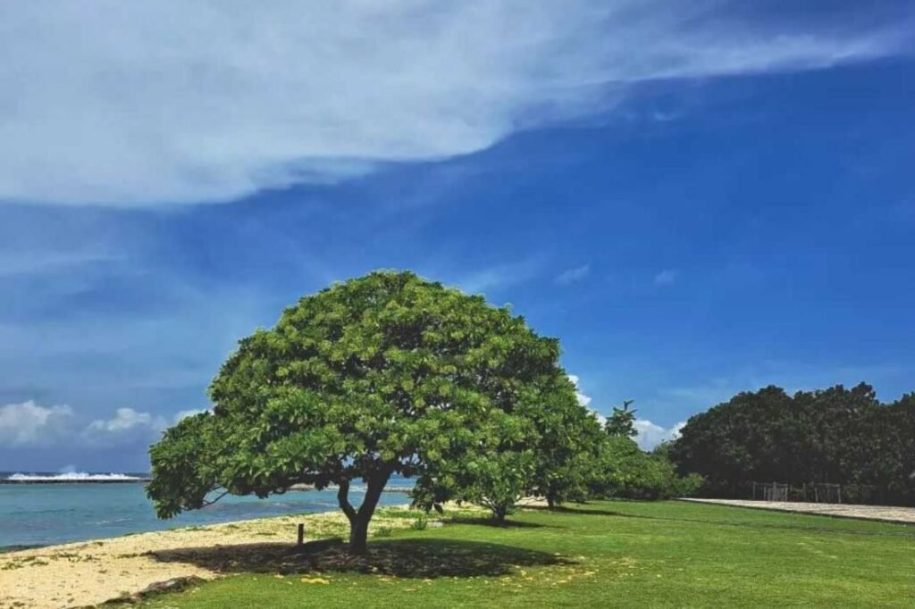 Pantai Sawangan 1024x682