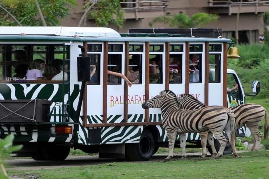 Taman Safari Bogor4 1024x682