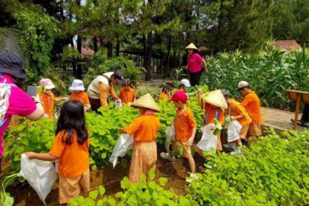 Wisata Kuntum Farmfield Bogor2 1024x682