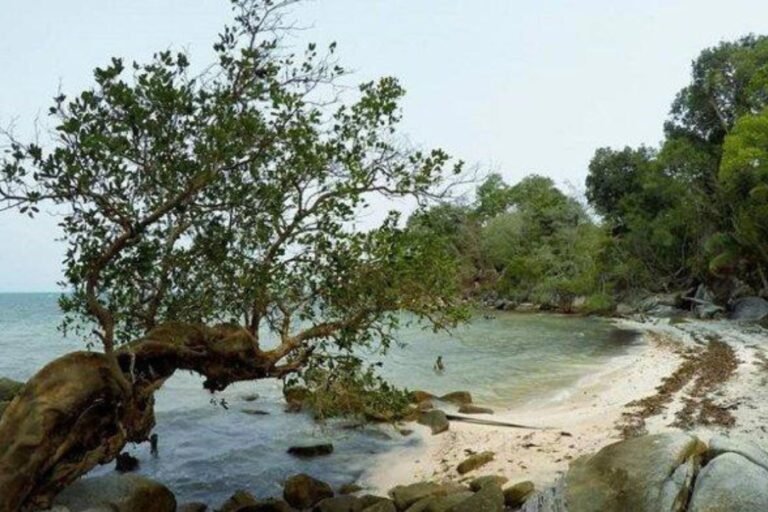 pantai tanjung batu pulas 768x512