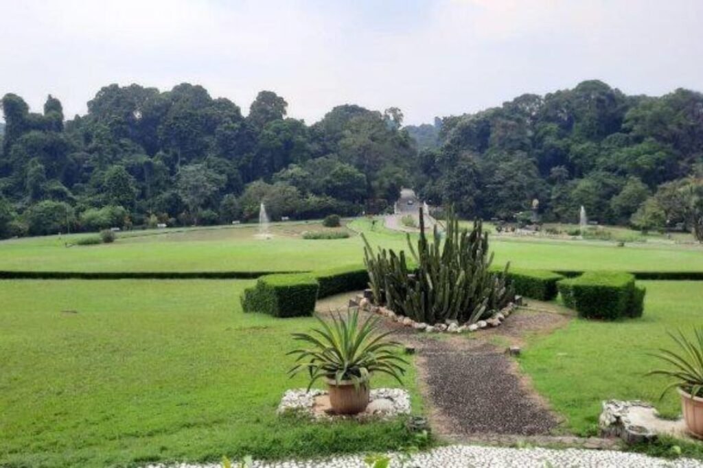 wisata kebun raya bogor 1 1024x682