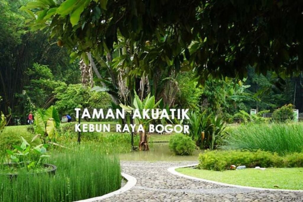 wisata kebun raya bogor 5 1024x682