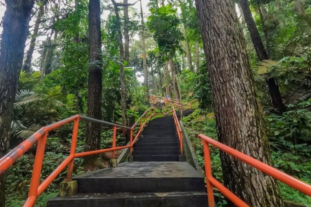 Kebun Raya Gunung Tidar3 1024x682