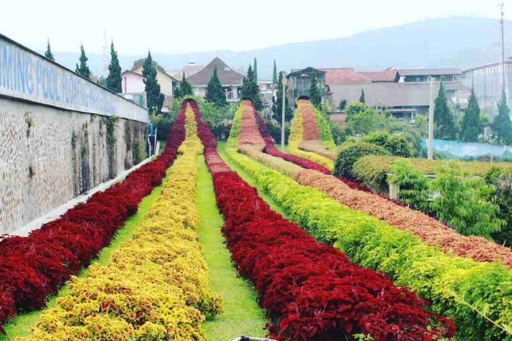 Rainbow Garden Lembang 1024x682