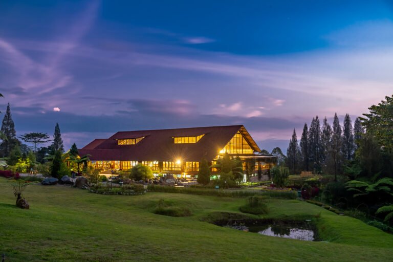 supriadi golden hour 17 07 22 2 orig 768x512