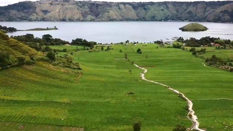 093514800 1644504833 1 768x432