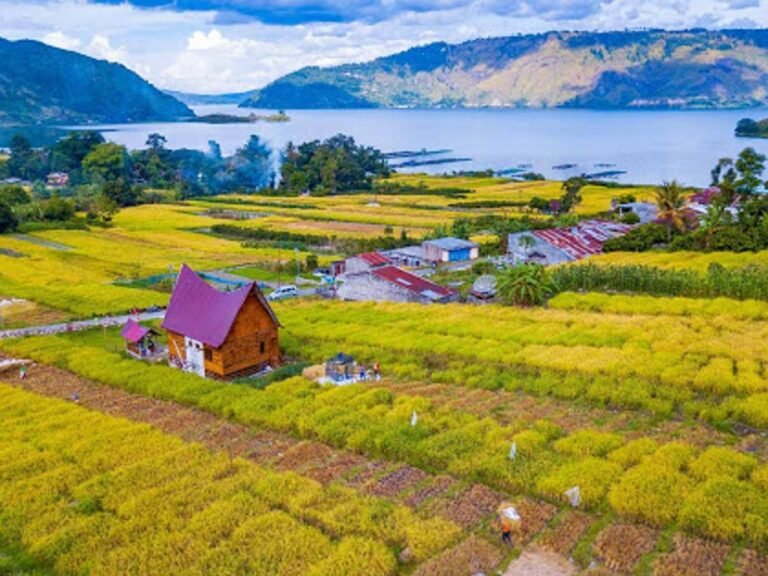 gambar 1651403198 768x576