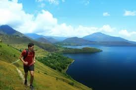 images 8 1