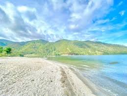 images 9 1