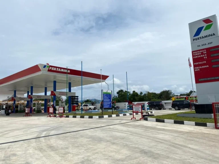 whatsapp image 2022 01 22 at 19.17.17 1 3 768x575