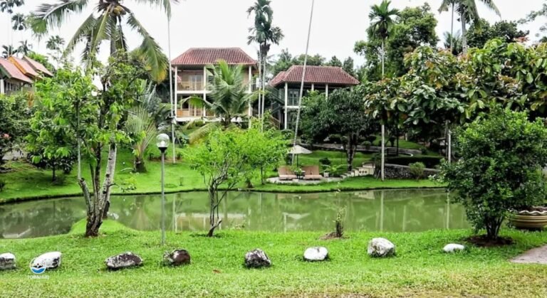 hotel deli river5 768x419