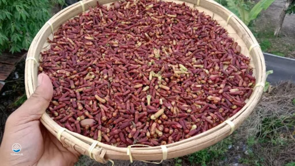 juwita cafe 1024x576