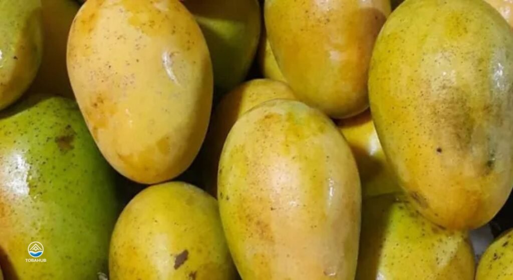 silimalombu6 1024x559