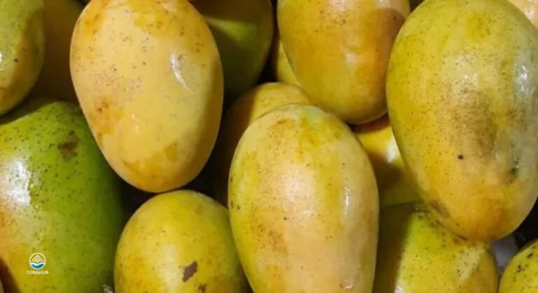 silimalombu6 768x419