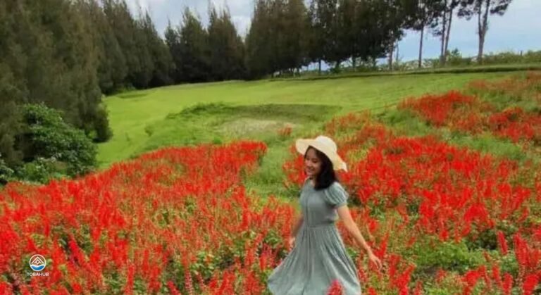 taman simalem resort15 768x419