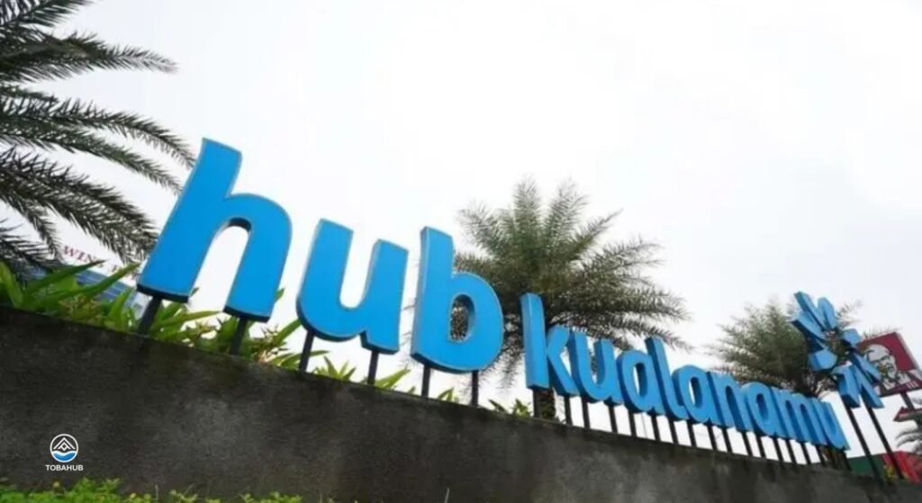 the lively2 1024x559