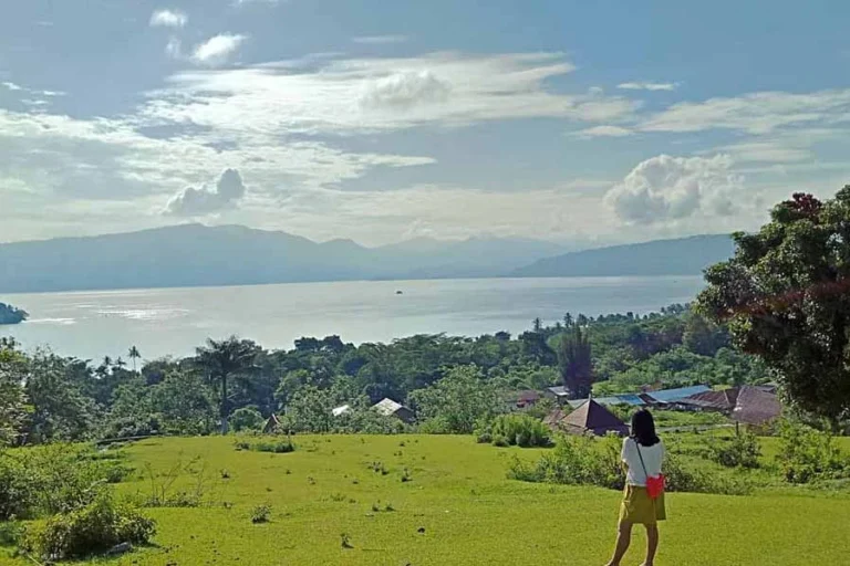 onetoba 58840 bukit beta samosir illustration 768x512