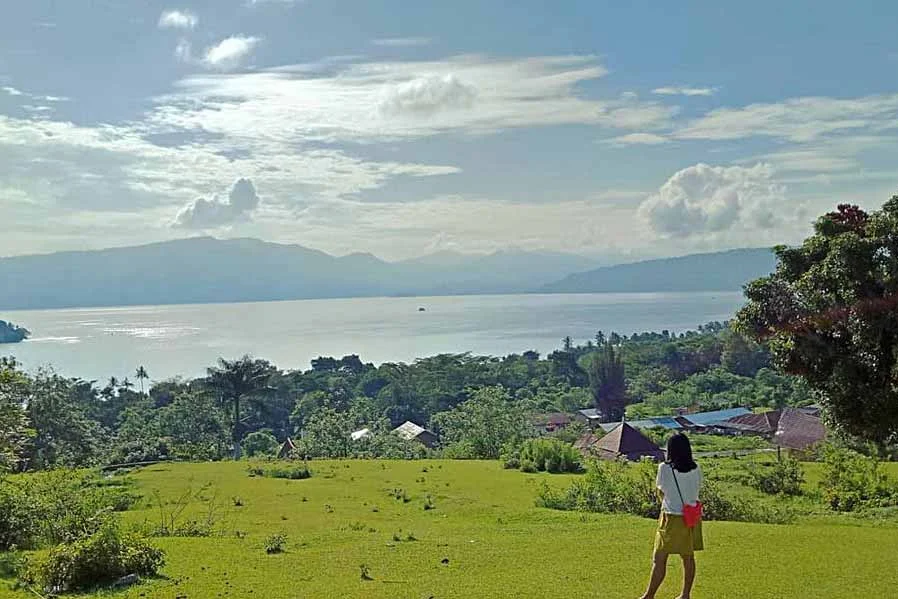 onetoba 58840 bukit beta samosir illustration